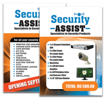 Security Assist - posters